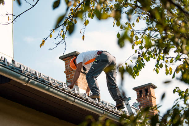 Best Flat Roof Repair Services  in Chenango Bridge, NY